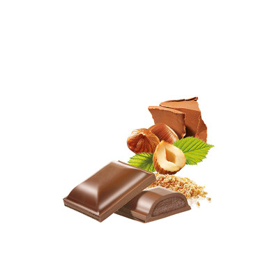 Heilemann Gianduja-Nougat mit Krokant in Edelvollmilch-Schokolade, 100 g